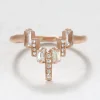 Auroral Light Ring