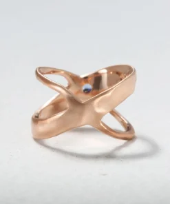 The Milky Way Ring