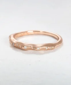 The Parallelium Ring