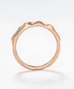 The Parallelium Ring
