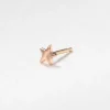 Twinkle Star Earring