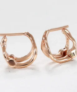 Wishbone Earrings